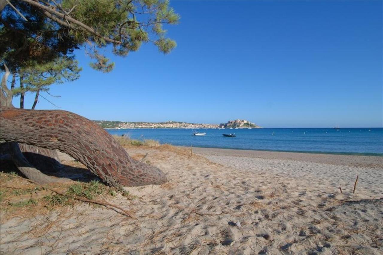 Location De Vacances Olivier Jardin Privatif Et Piscine Chauffee Partagee Calvi  Bagian luar foto